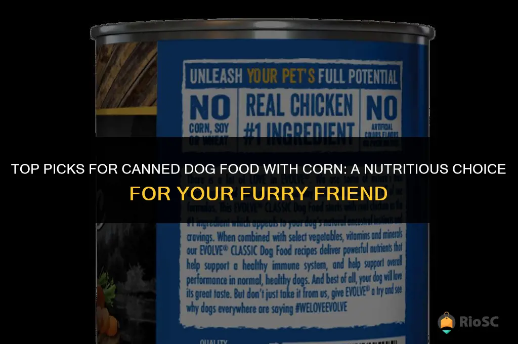 best canned dog food with corn