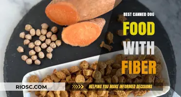 High-Fiber Canned Dog Food: Top Picks for a Healthy Digestive System