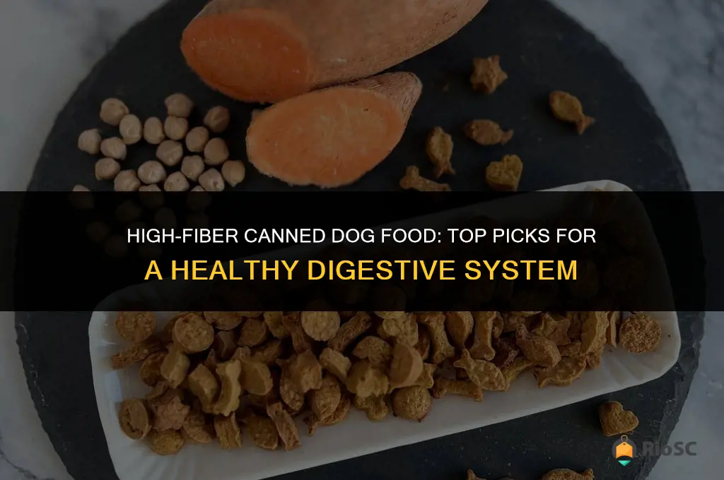 best canned dog food with fiber