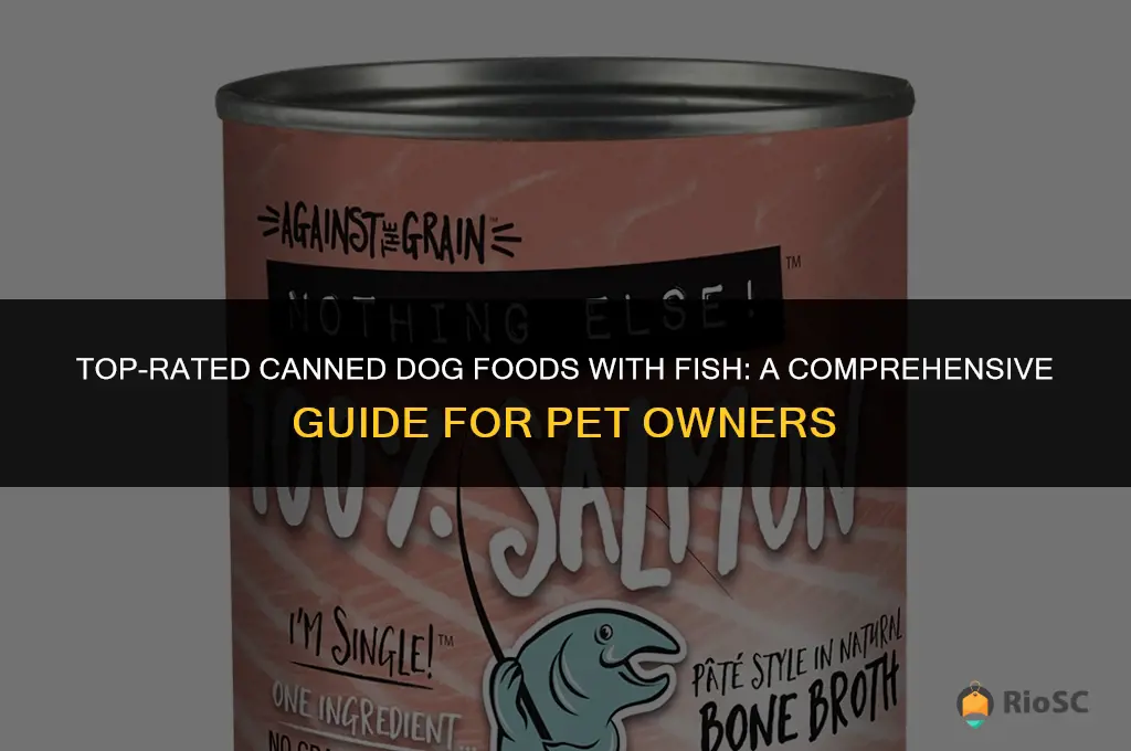 best canned dog food with fish