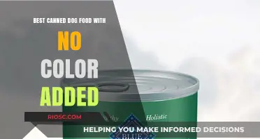 Natural Bites: Top Canned Dog Food Options Free from Artificial Colors