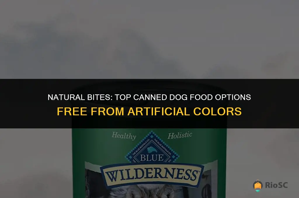best canned dog food with no color added