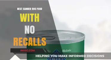 Top-Rated Canned Dog Foods: Safe and Recall-Free Options for Your Furry Friend