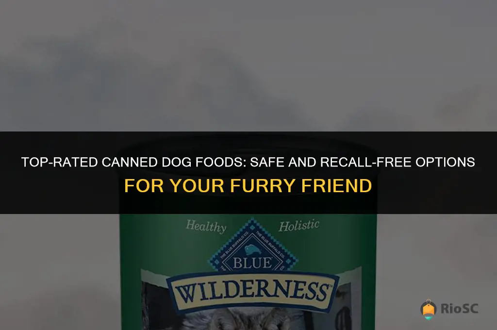 best canned dog food with no recalls