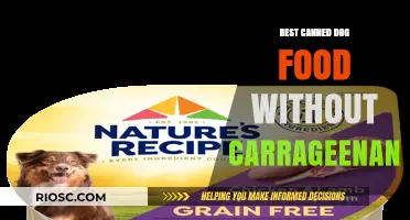 Top Picks for Canned Dog Food: Delicious Meals Free from Carrageenan