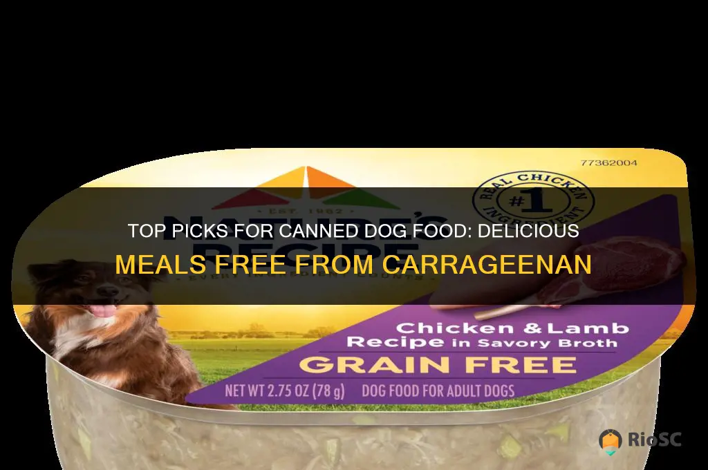 best canned dog food without carrageenan