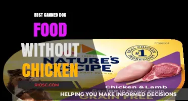 Top Picks for Canned Dog Food: Delicious and Nutritious Options Without Chicken