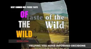 Exploring the Best Canned Dog Foods: A Taste of the Wild Review