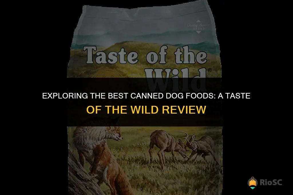 best canned dog foods taste of the wild