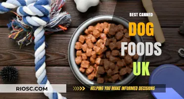 Top-Rated Canned Dog Foods in the UK: A Comprehensive Guide for Pet Owners