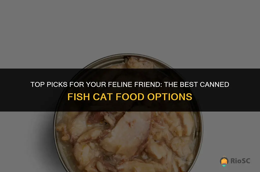 best canned fish cat food