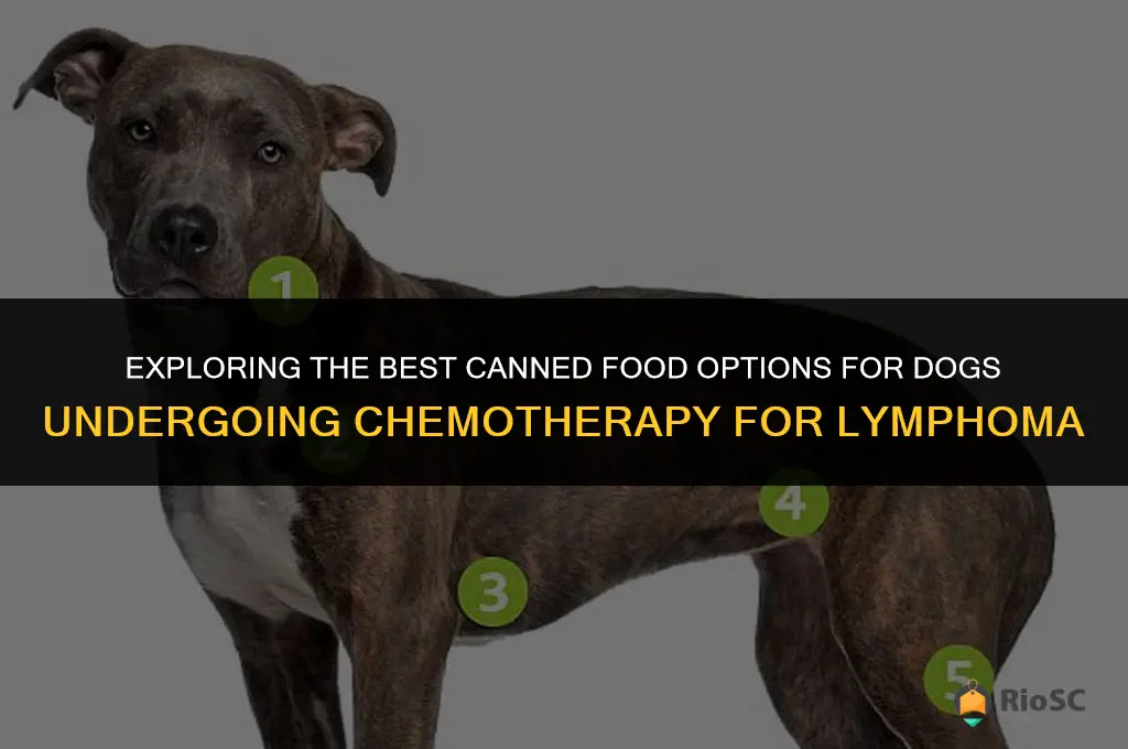 best canned food dog lyphoma with chemo