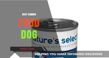 Top Picks for Your Pantry: The Best Canned Foods for Your Canine Companion