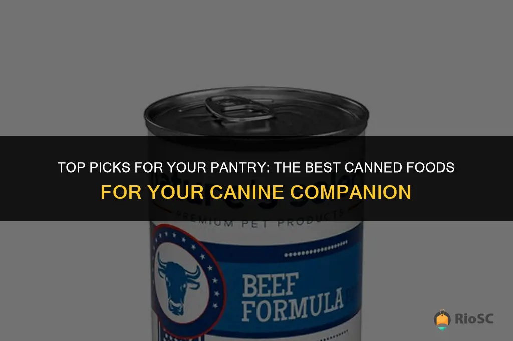 best canned food dog
