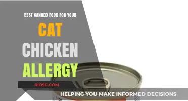 Top Hypoallergenic Canned Cat Food Options: Chicken-Free and Nutritious