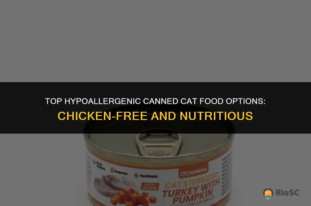 best canned food for your cat chicken allergy