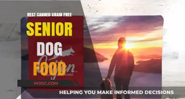 Top Picks for Grain-Free Senior Dog Food: Nourishing Your Aging Companion