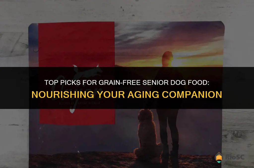 best canned grain free senior dog food