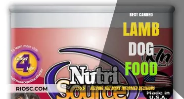 Top-Rated Canned Lamb Dog Food: A Comprehensive Guide for Pet Owners