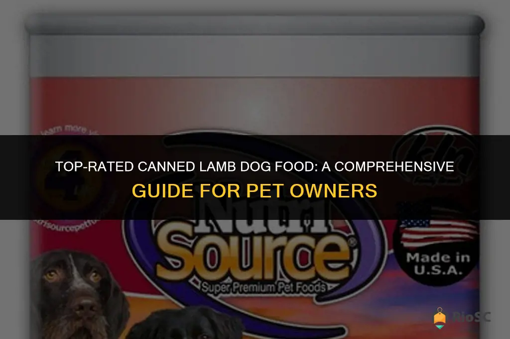best canned lamb dog food