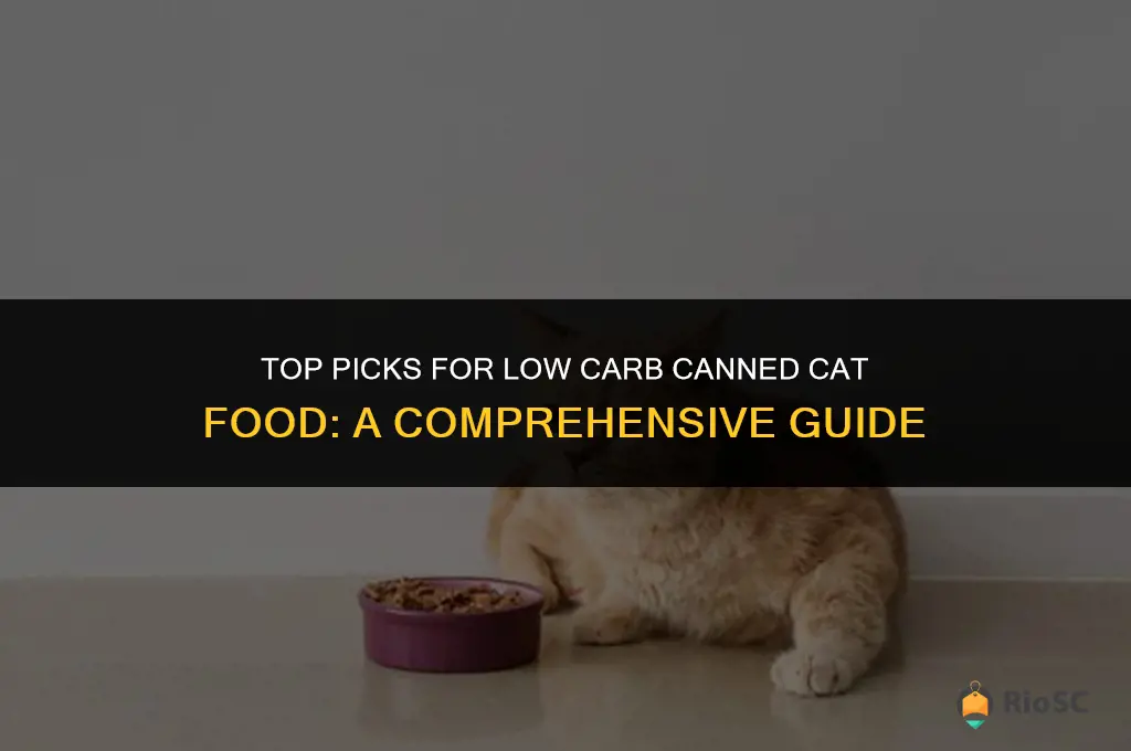 best canned low carb cat food