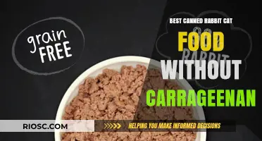 Top Picks for Canned Rabbit Cat Food: Delicious and Carrageenan-Free Options Your Feline Will Love