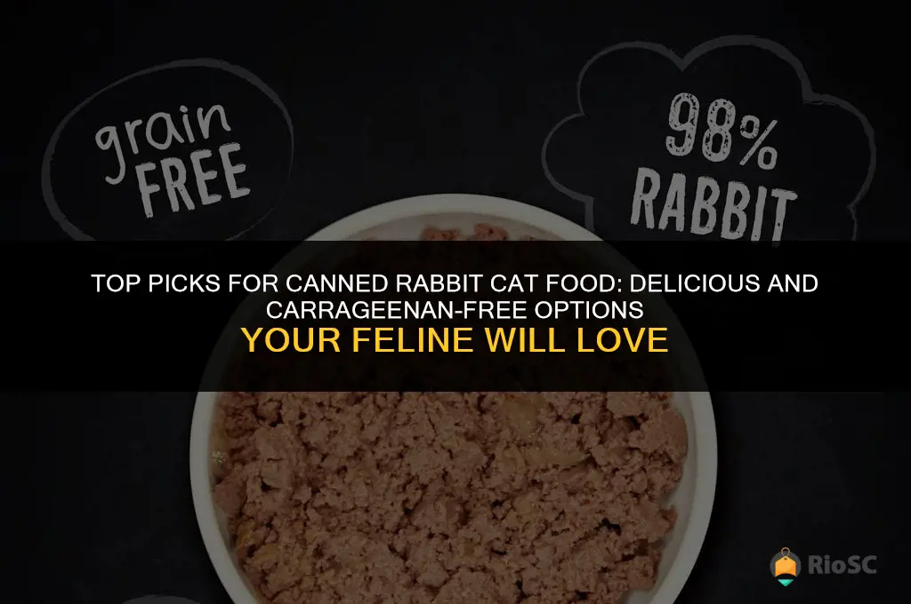 best canned rabbit cat food without carrageenan