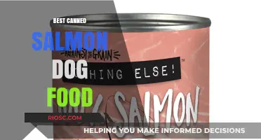 Top-Rated Canned Salmon Dog Food: A Nutritious Choice for Your Furry Friend