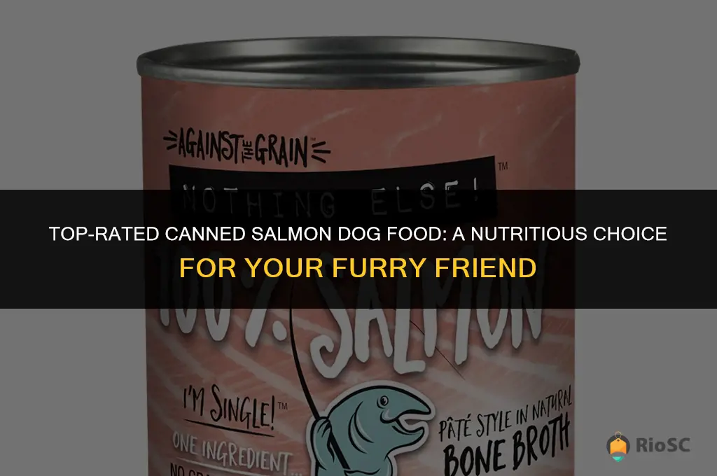 best canned salmon dog food