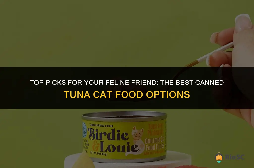 best canned tuna cat food