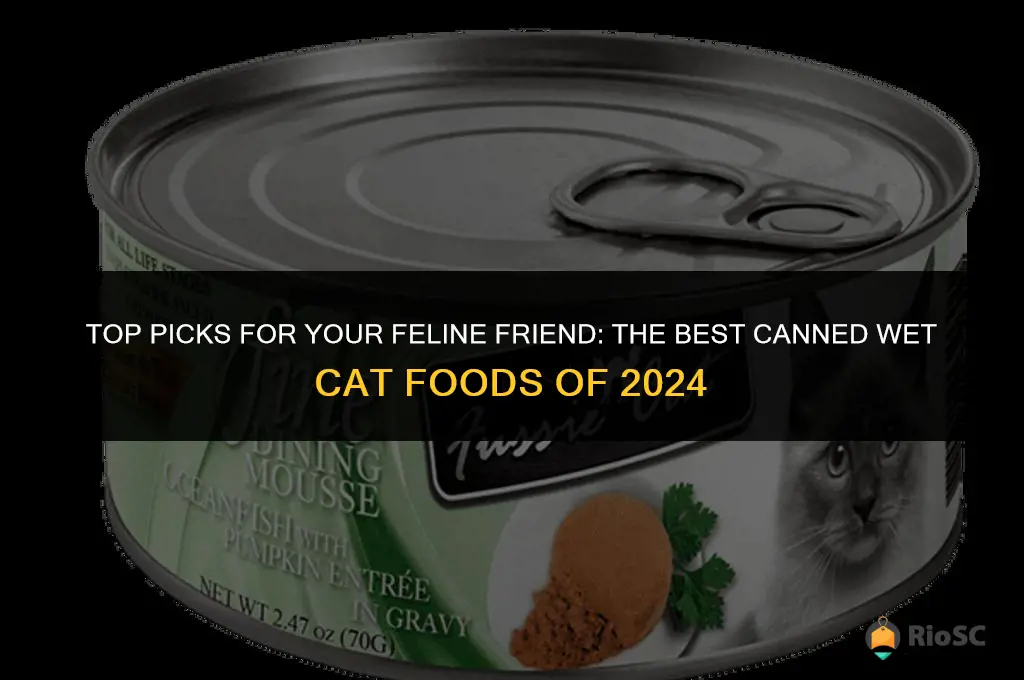 best canned wet cat food