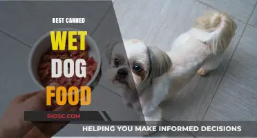 Top Picks for Your Pooch: The Best Canned Wet Dog Foods of 2024