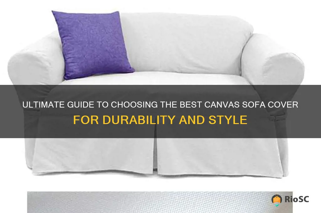 best canvas sofa cover