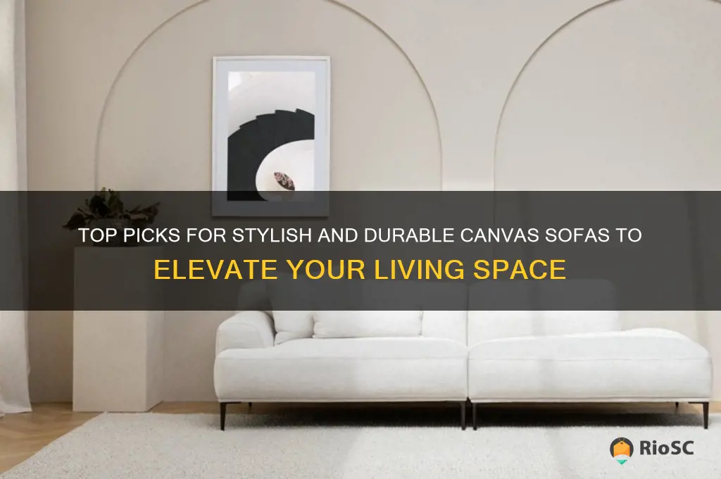 best canvas sofas