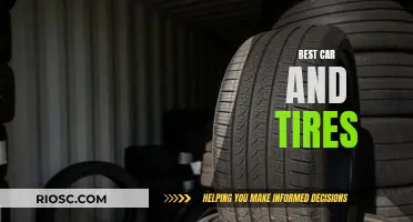 Car and Tire Synergy: Mastering the Perfect Match