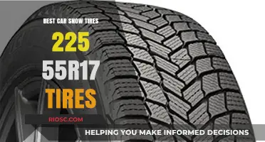 Top Picks for Winter Driving: Best Car Snow Tires in 225/55R17 Size