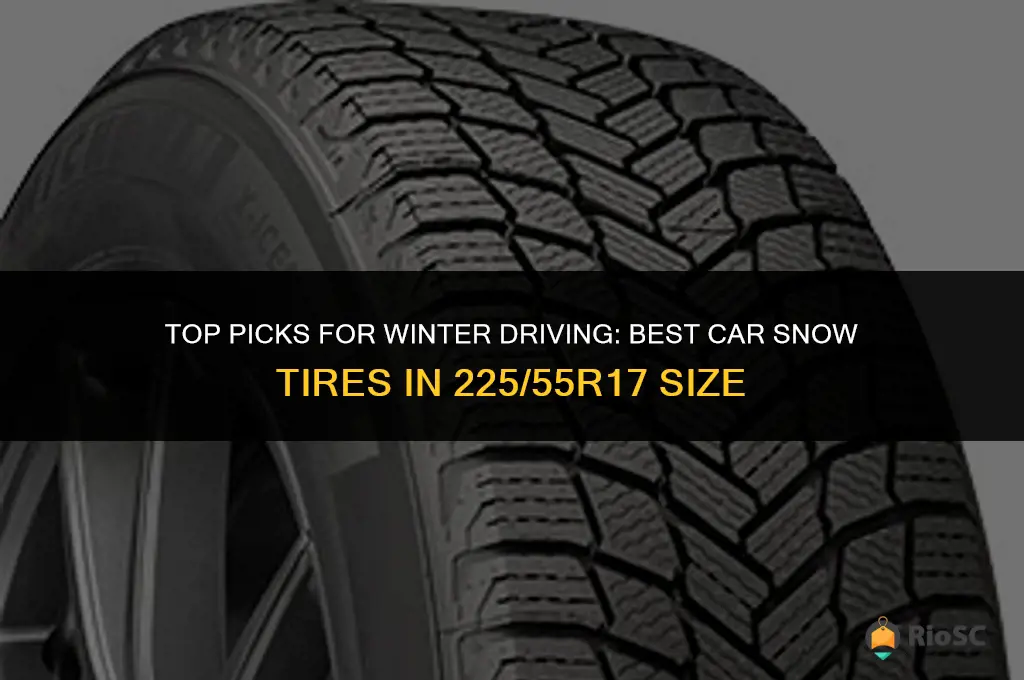 best car snow tires 225 55r17 tires