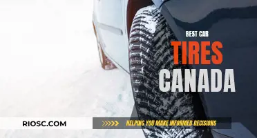 Canada's Top-Performing Car Tires: A Comprehensive Guide