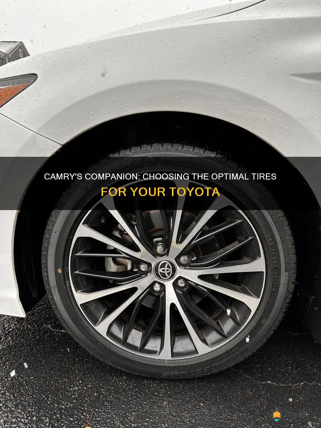 best car tires for camry