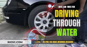 Tires to Navigate Through Water: Choosing the Best for Your Car