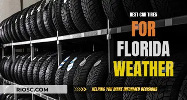 Florida Drivers: Choosing the Right Tires for Sunshine and Storms