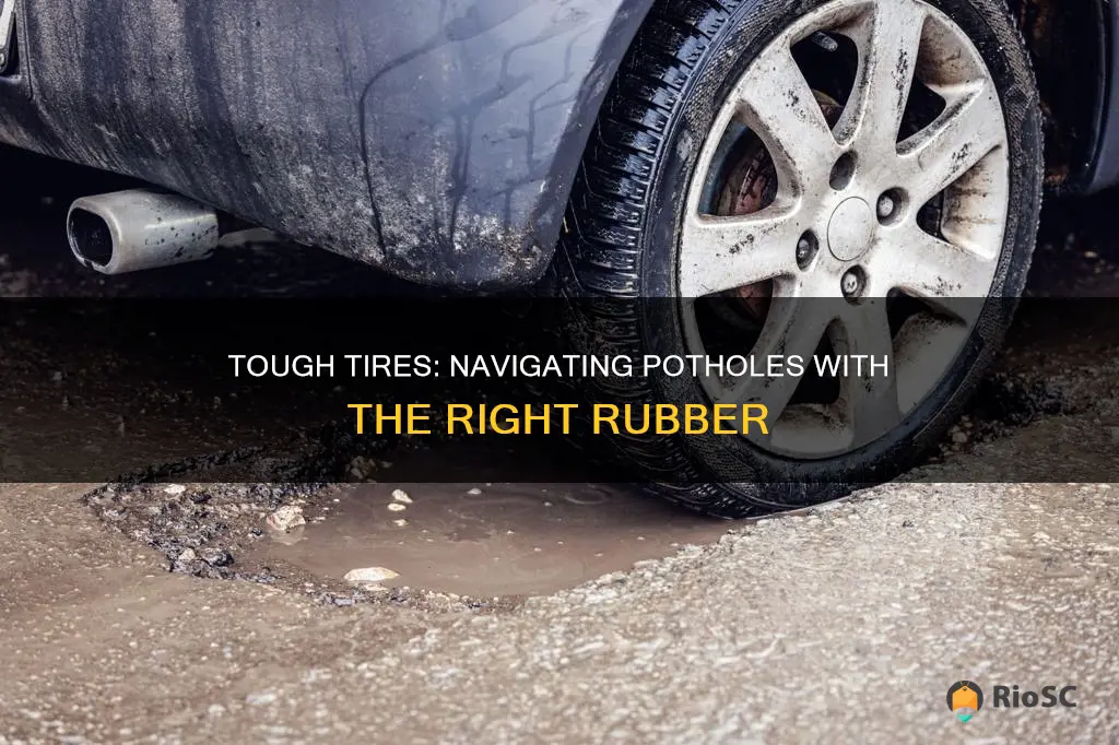 best car tires for potholes