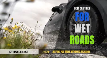 Tackling Wet Roads: Choosing the Best Car Tires for Rainy Days