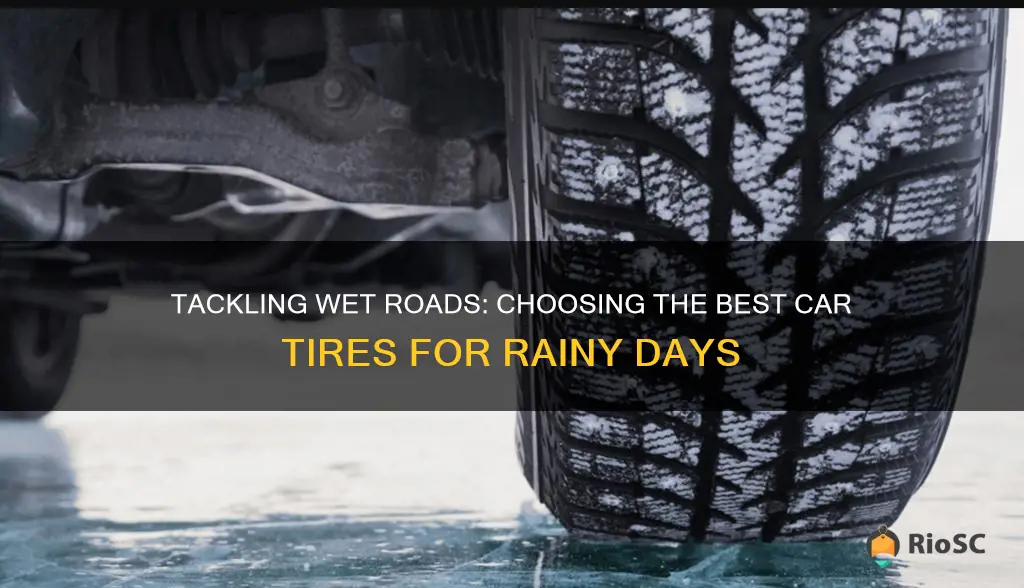 best car tires for wet roads