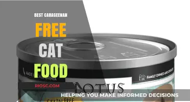 Exploring the Best Carrageenan-Free Cat Food Options: A Guide for Conscious Pet Owners