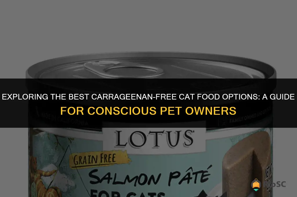 best carageenan free cat food
