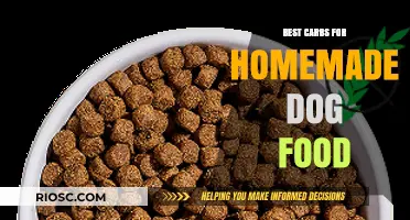 Wholesome Grains for Homemade Dog Food: A Guide to the Best Carbohydrates for Your Canine Companion