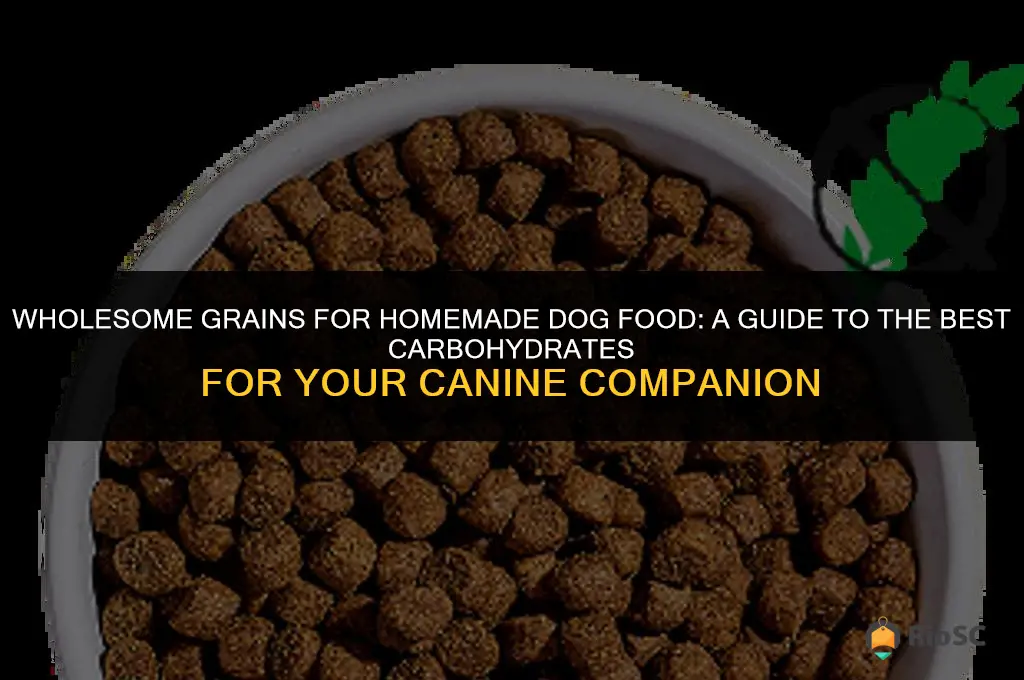 best carbs for homemade dog food