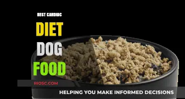 Optimal Cardiac Care: Top Dog Food Choices for Heart Health