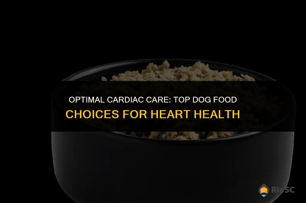 best cardiac diet dog food
